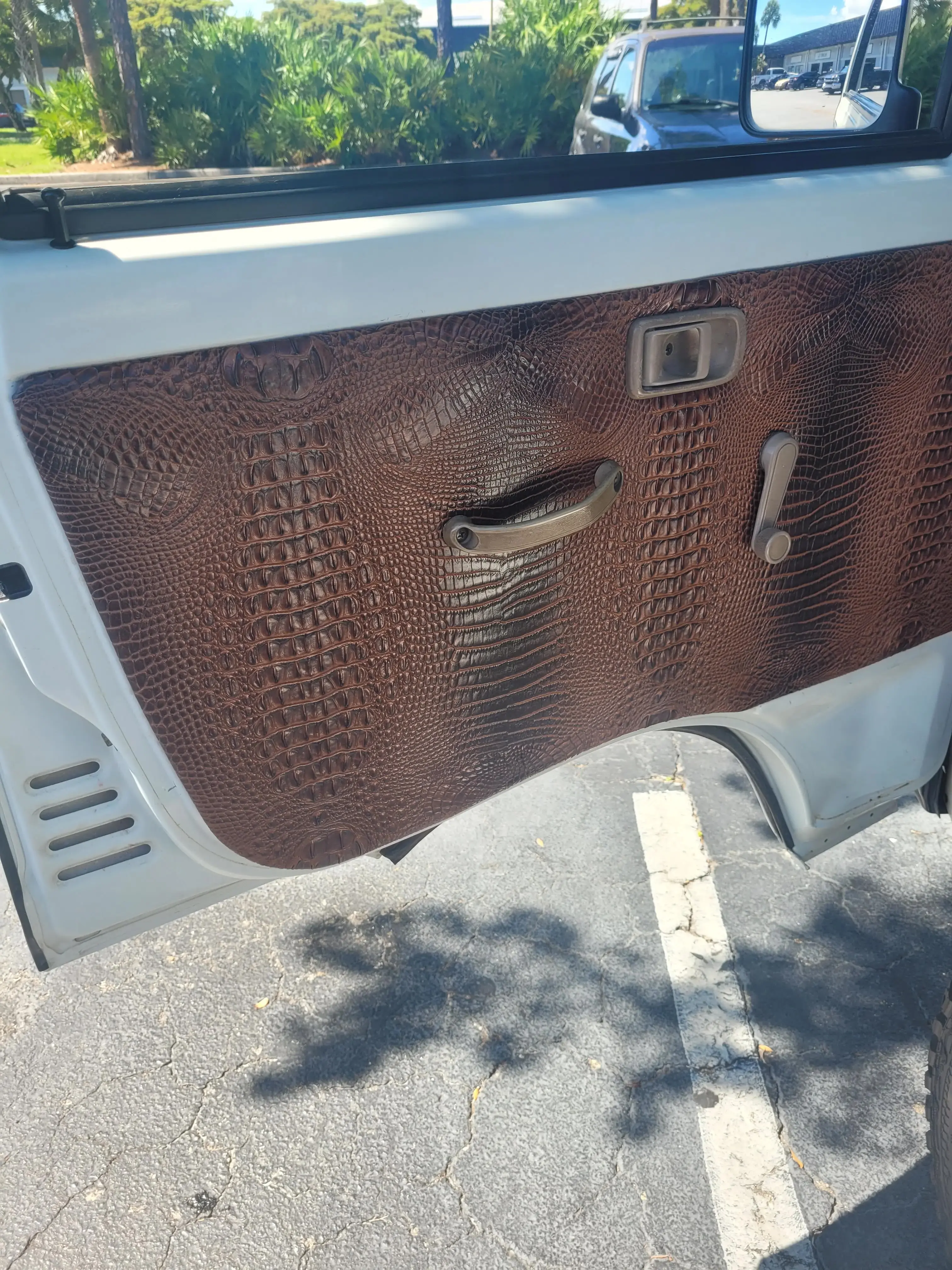 alligator vinyls door